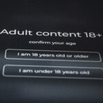 Age Verification Laws Take Effect: How the European Union Regulates Internet Access to Adult Sites