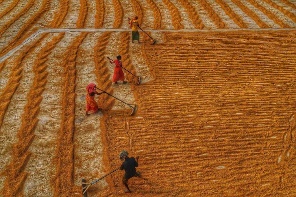 农业经济与冬季牧场：德国城市的羊群穿越之旅