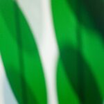 Marjorie Taylor Greene Resignation Shakes Capitol Hill