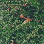 Zelenskyy EU Tour: Seeking Peace Amid Turkey-Russia Talks