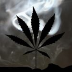 Cannabis Market Regulation and Investment Risks Amid Rising Addiction Research