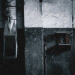 Toxic Consumer Chemicals Linked to Gut Health Risks in New Study